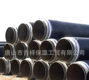 直埋污污污视频网站的“麵目”